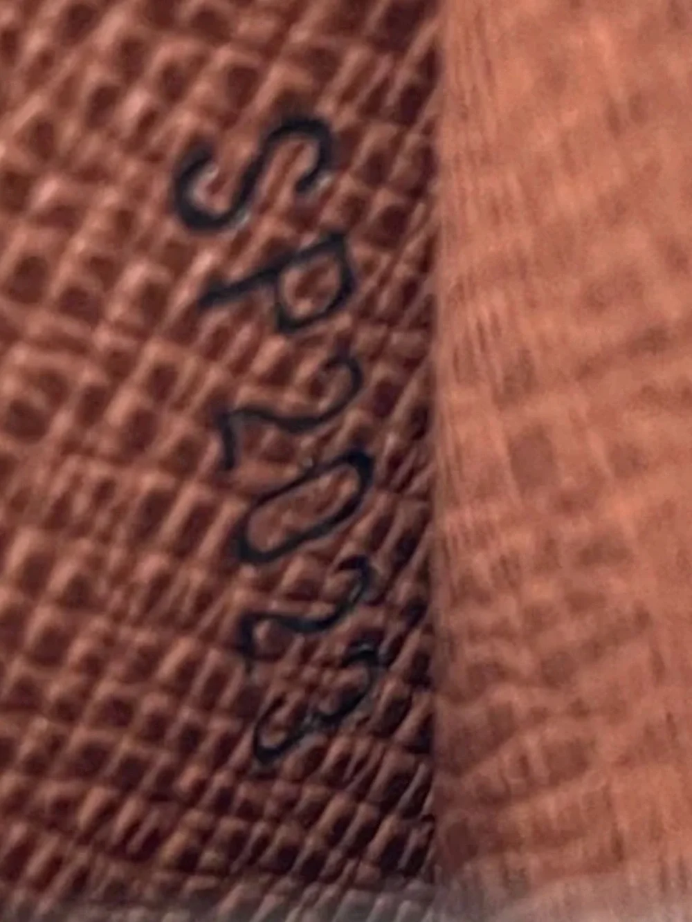 Louis Vuitton monogram canvas